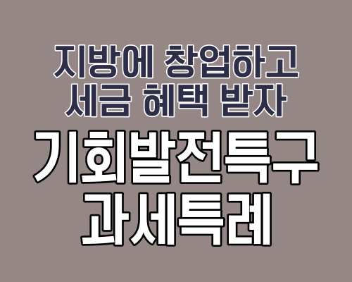 기회발전특구 과세특례