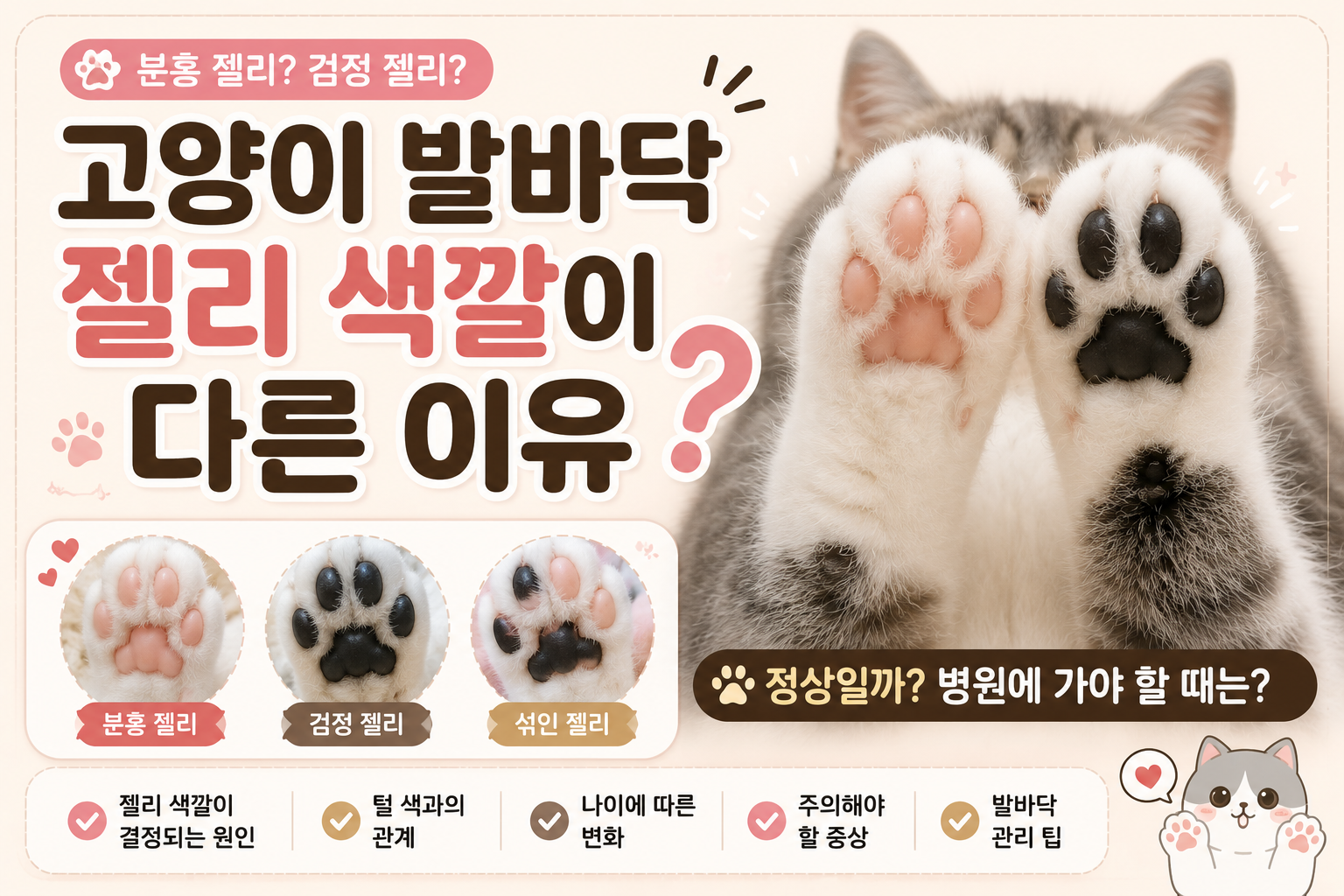 고양이 발바닥