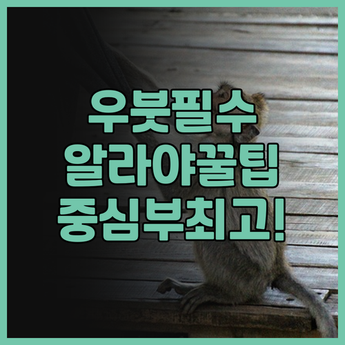 알라야 리조트 우붓 추천 우붓 중심부..