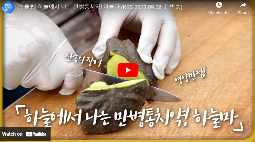 출처 : https://youtu.be/Hp2_etSVp2E?si=flSyukXUSvFqK_j3