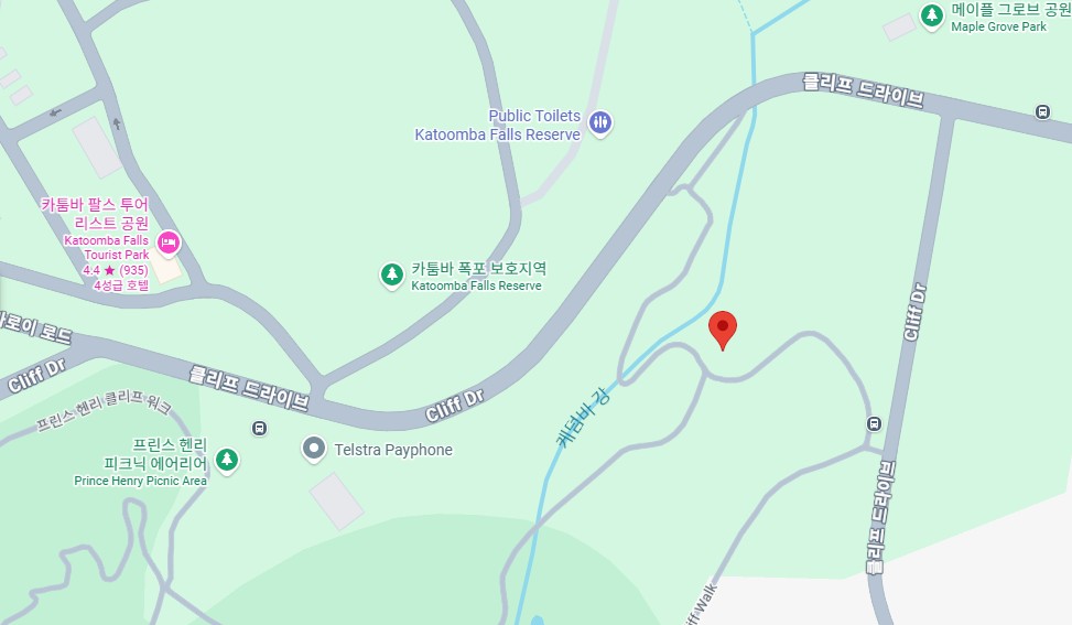 블루마운틴 근처에서 코카투를 만날 수 있는 장소