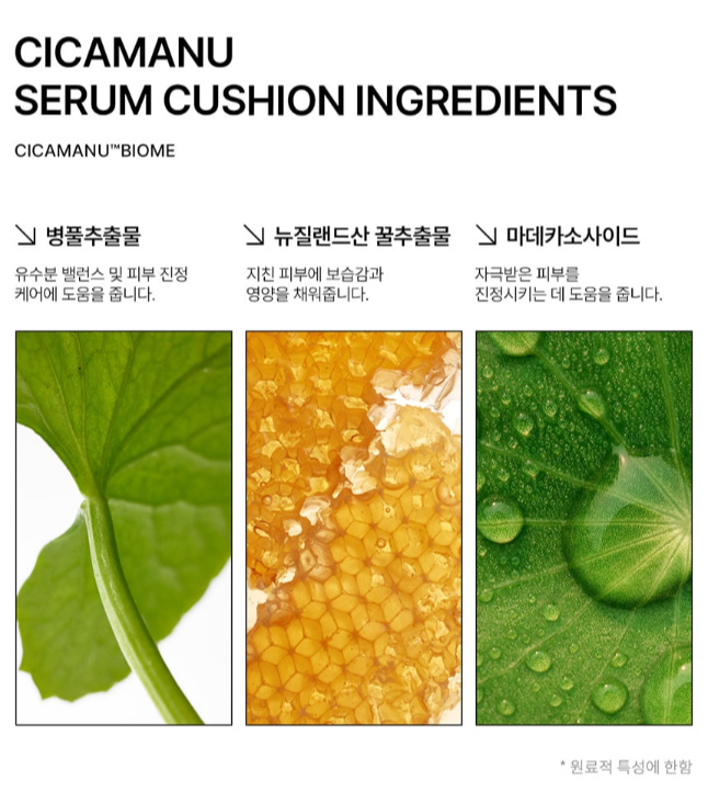 네고왕 파넬