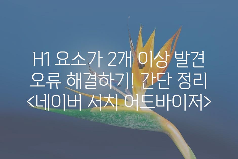 샘플 (45)