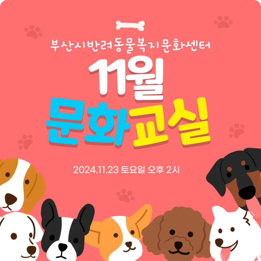 부산 연제구 반려동물 문화교실 소개 반려견 맹견기질평가 개물림 사고 아로마 테라피 참가 신청 방법 복지문화센터