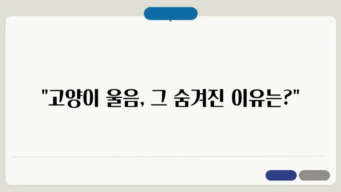 고양이가 밤에 우는 이유? 소음 줄이고 편하게 자는 팁