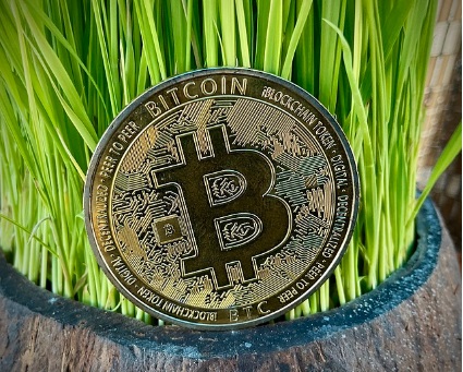 도지코인 시세 전망 도지파더 일론머스크