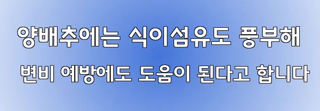  양배추에는 식이섬유도 풍부해 변비 예방에도 도움이 된다고 합니다