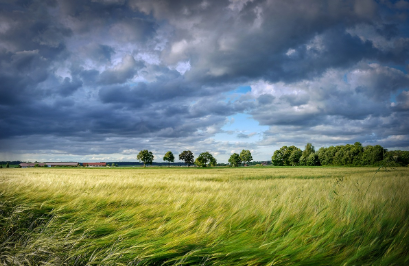눈물이 자주 나는 이유