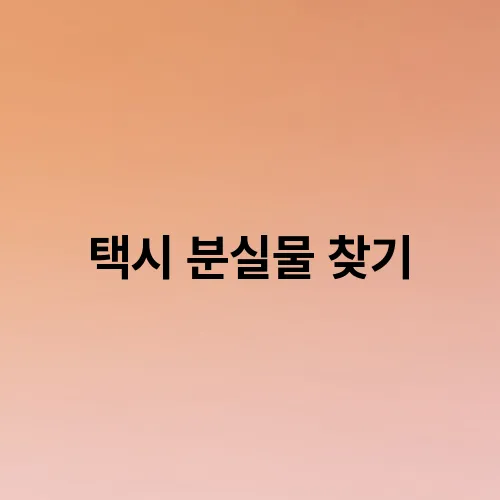 택시 분실물 찾기
