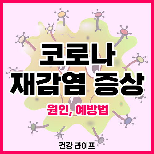 코로나 재감염 증상 (원인, 예방법)