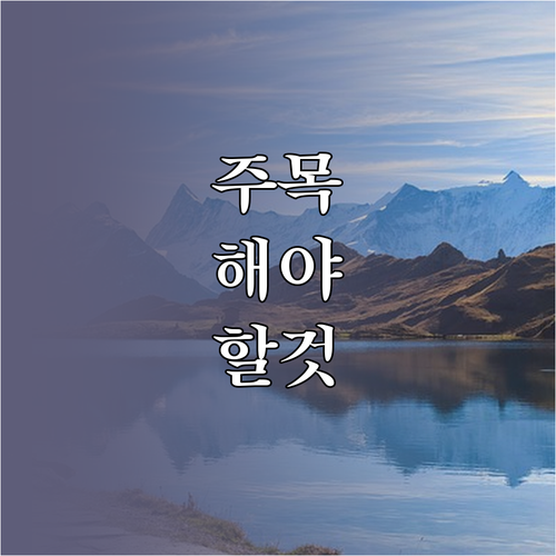 피부 트러블 원인 샤워타월 교체 주기..