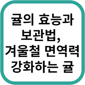 귤의 효능과 보관법&#44; 겨울철 면역력 강화하는 귤