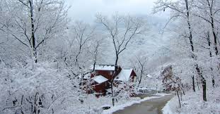 휴애리 입장료 할인받고 운영시간 확인하는 법