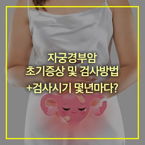 자궁경부암 초기증상 검사방법 검사시기 몇년 썸네일