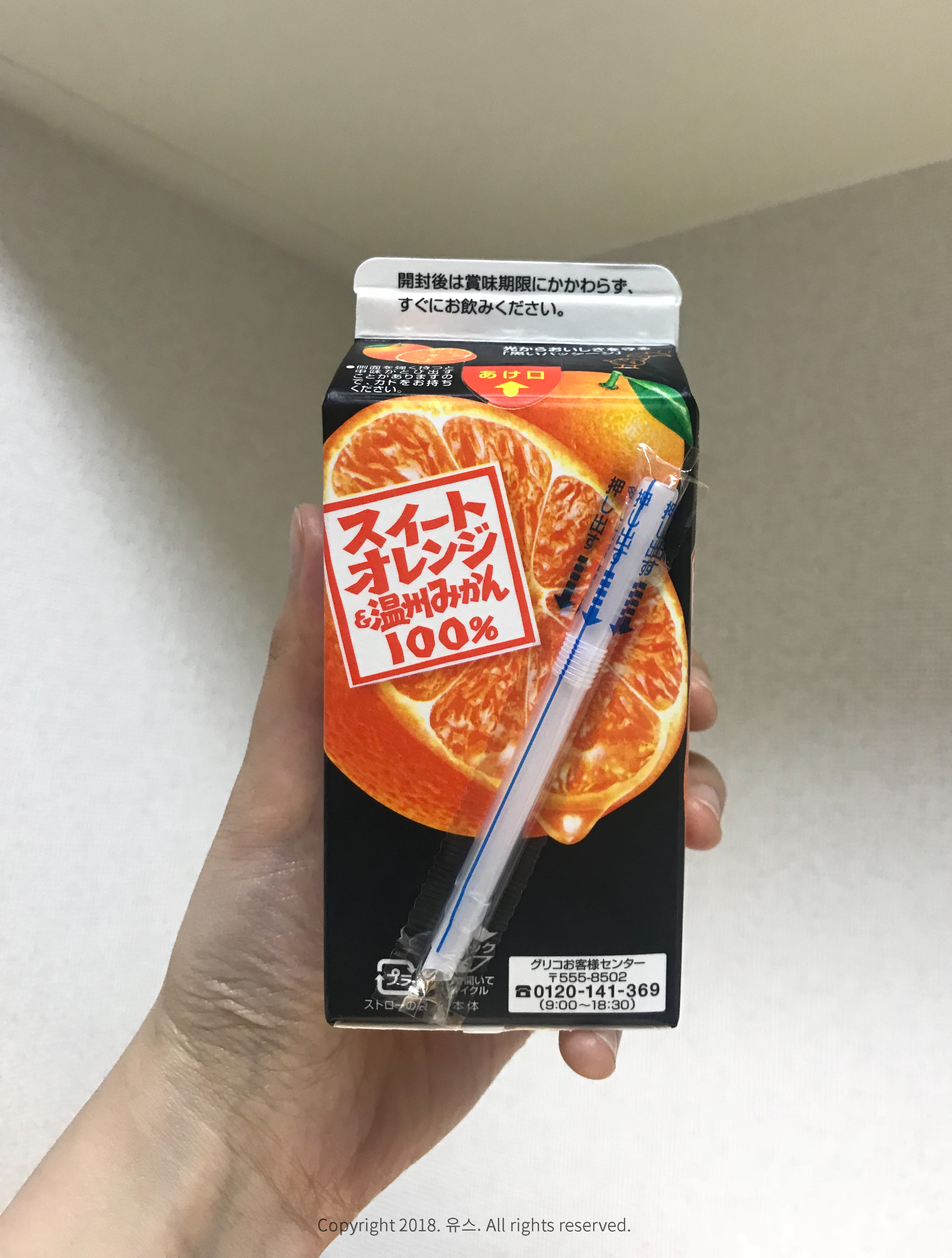 도쿄 유학