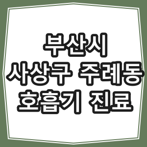 부산시 사상구 주례동 호흡기 내과 진료 동네 병원