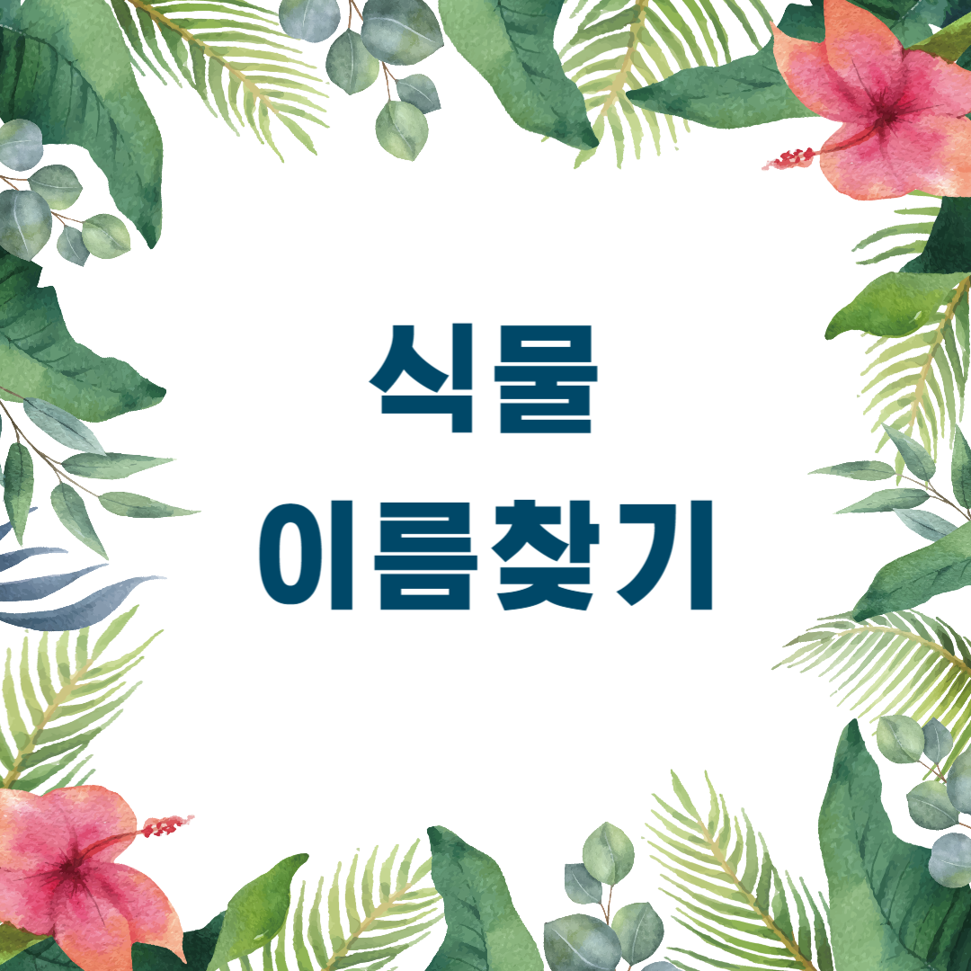 식물 이름 찾기