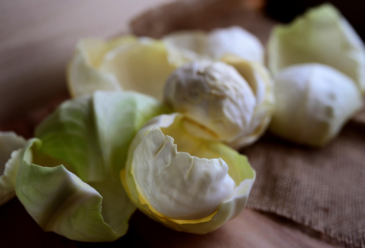 6시 내고향 12월 2일 방송 정리 — 경남 양산 소형 양배추 명촌농원