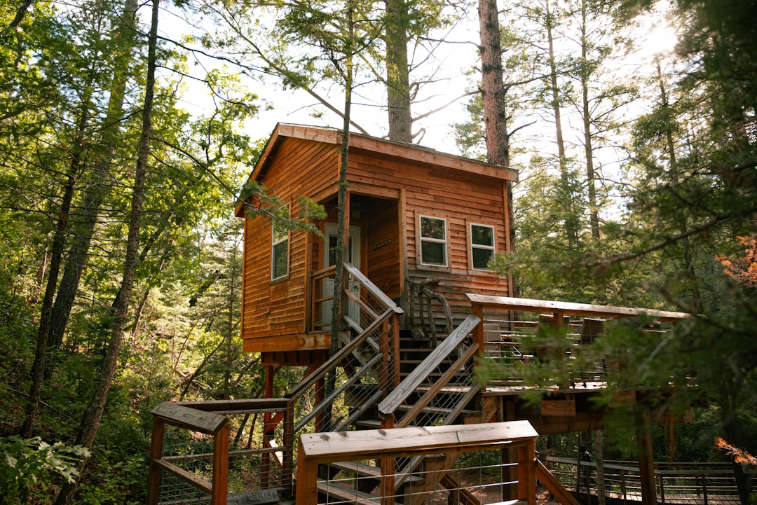 Treehouse