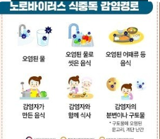 장염과 식중독, 노로바이러스 관련 사진