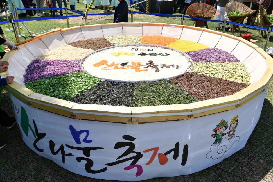 용문산 산나물 축제