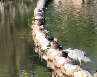 주식-투자-심리-컨트롤-마인드