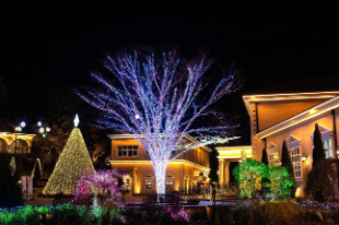 경기도 야간명소 데이트하기 좋은장소 베스트