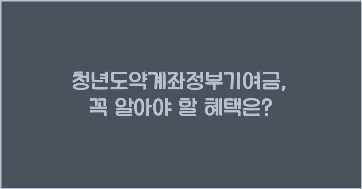 청년도약계좌정부기여금