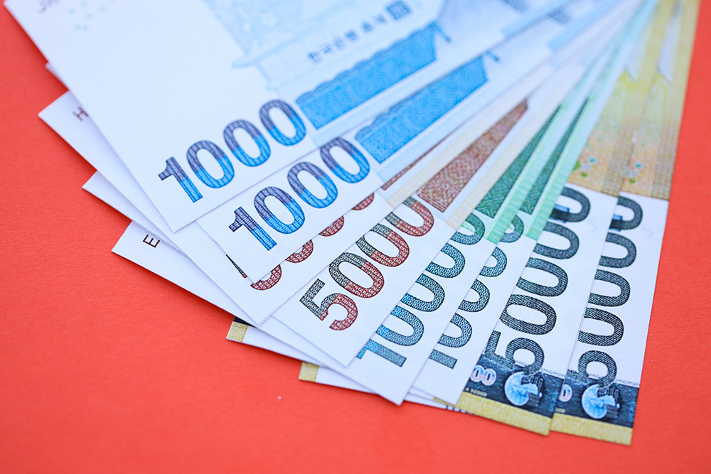 민생회복 지원금