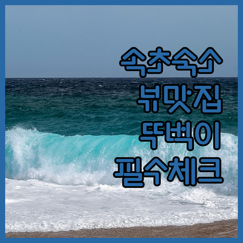 속초 여행 숙소 선택 가이드 뷰 맛집..