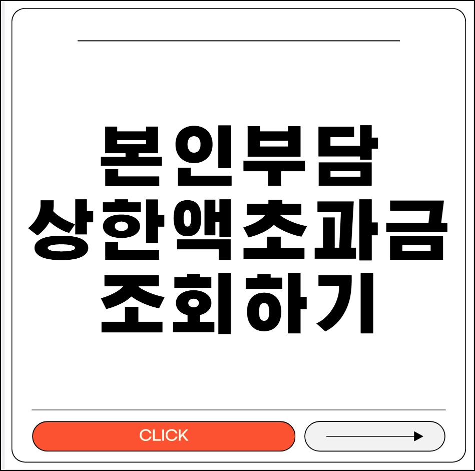 본인부담상한액 초과금 조회