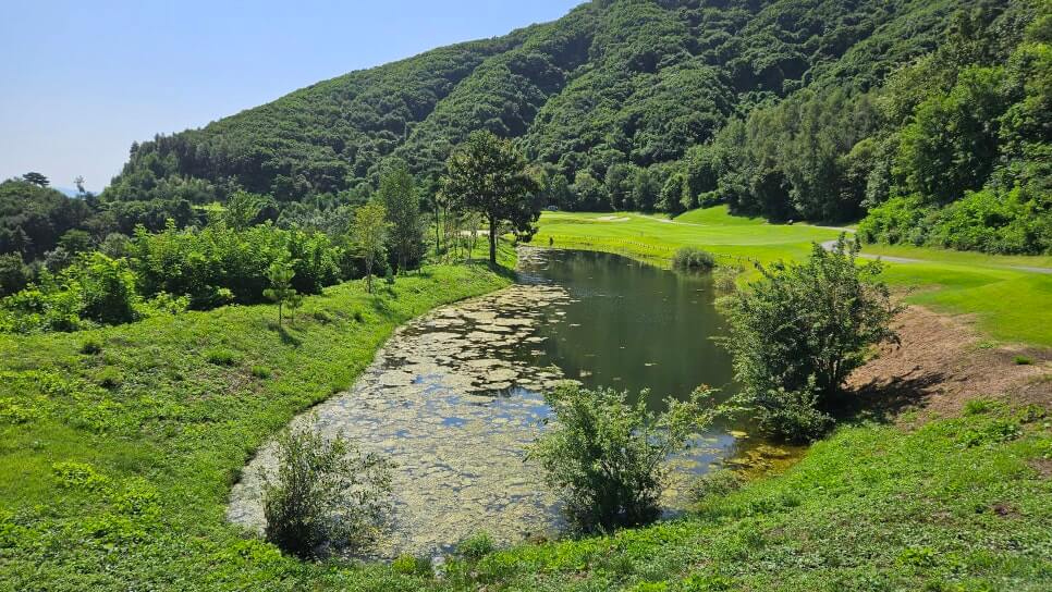 골프장 경험담 충주 세일cc 샷의 정교함이 필요한 골프장 