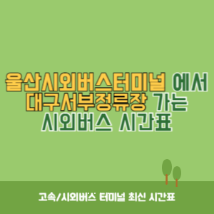 울산시외버스터미널에서 대구서부정류장 가는 시외버스 시간표 최신정보