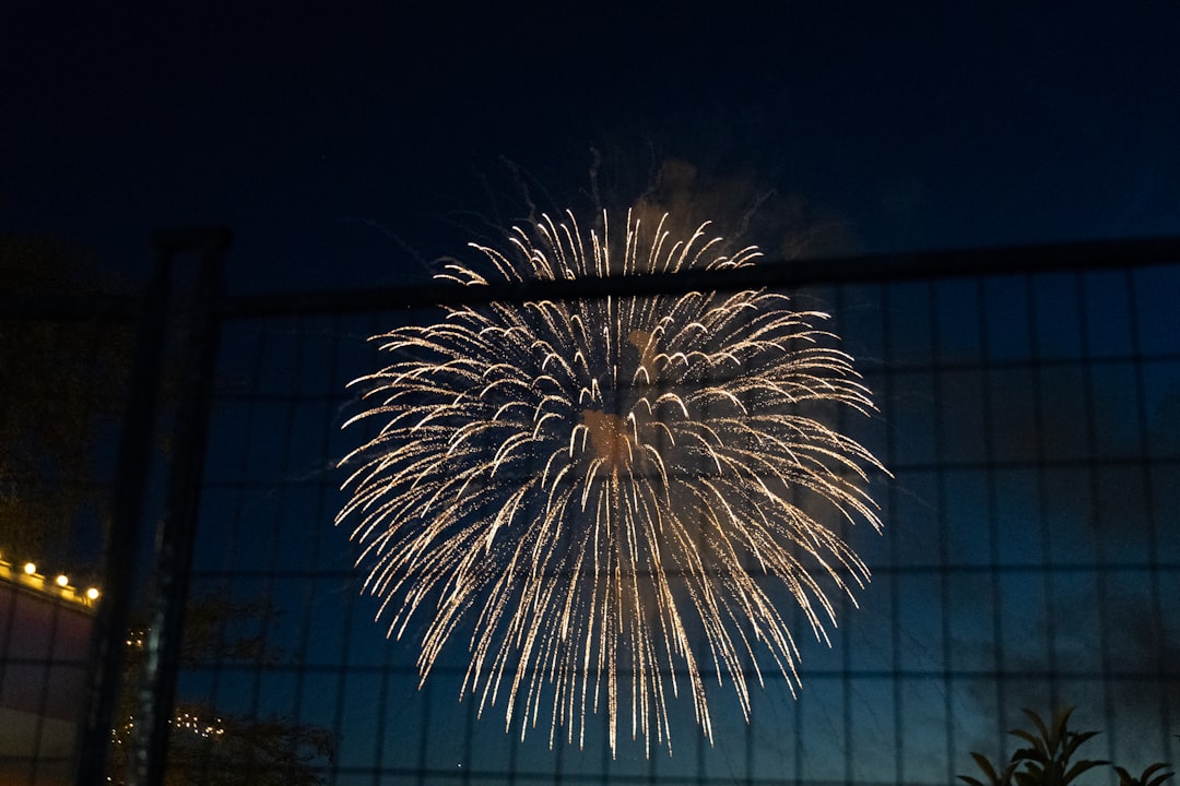 불꽃야구 직관 일정 모르면 손해! 2025년 핵심 정보 6가지 관련 이미지 2