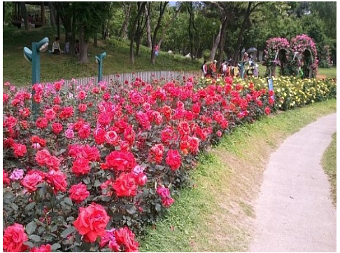 인터내셔널 로즈 테스가든