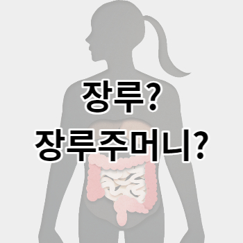 장루_장루주머니_썸네일