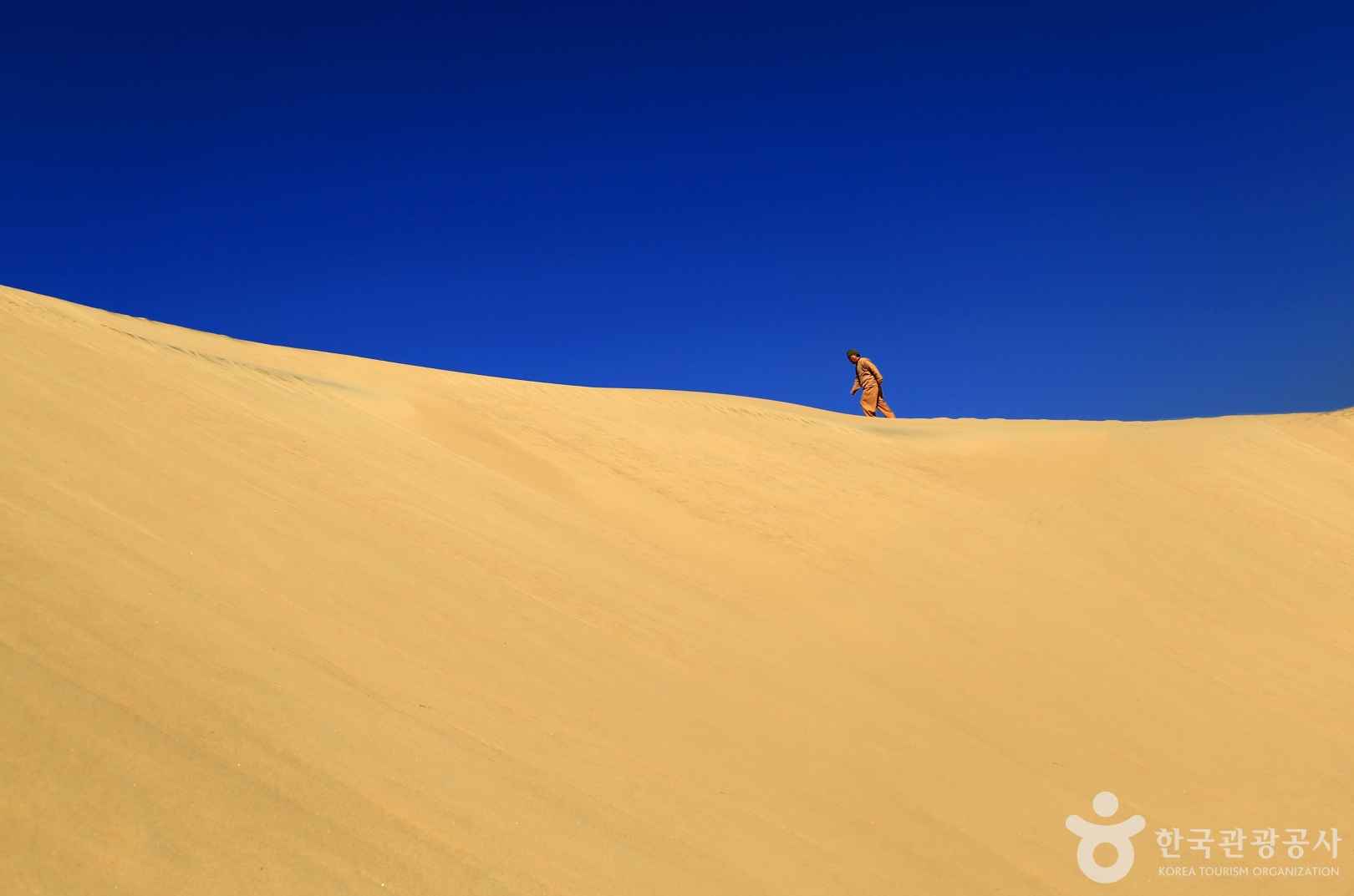 신두리 해안사구
