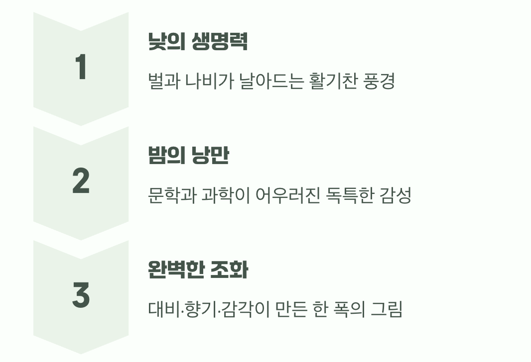 낮과 밤&#44; 두 얼굴의 매력