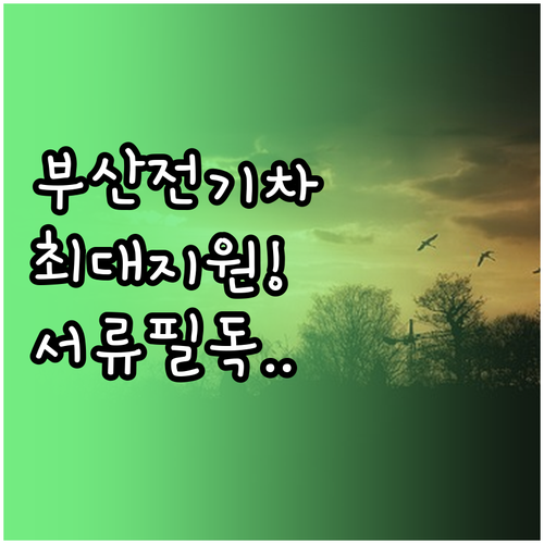 부산 청년 생애 최초 전기차 지원금 ..