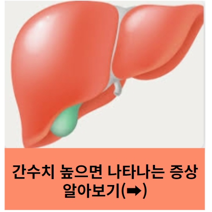 간수치가높으면 나타나는 증상