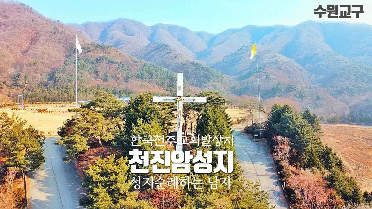 천진암 흰민들레 백양자연관찰로 괭이눈 개화_2