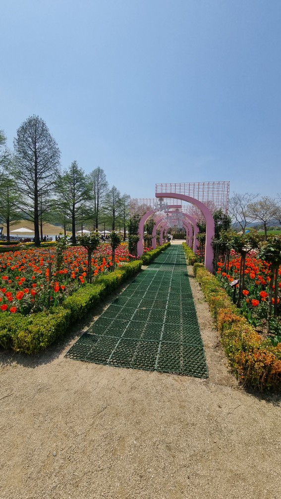 순천만국가정원 4월 튤립축제 포토존