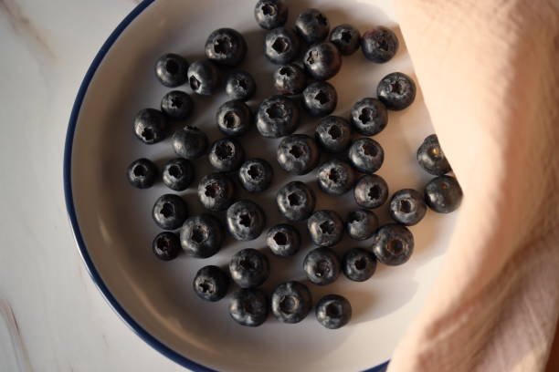 건 블루베리 효능