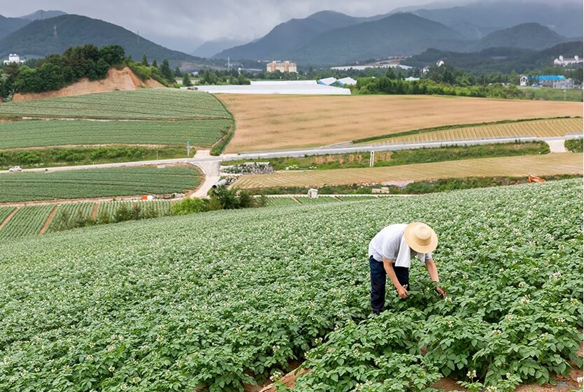 오늘N 가족이뭐길래 경남 밀양 혈당케어 건강쌀 브랜드 초당옥수수 수미감 농부로 주문방법 오늘N 2495회
