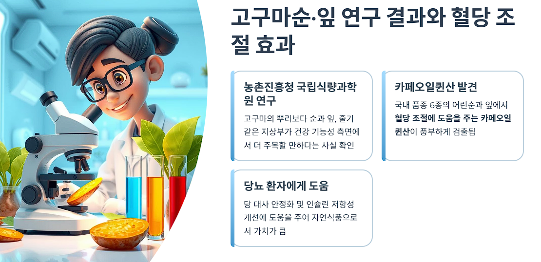 고구마순&middot;잎 연구 결과와 혈당 조절 효과
