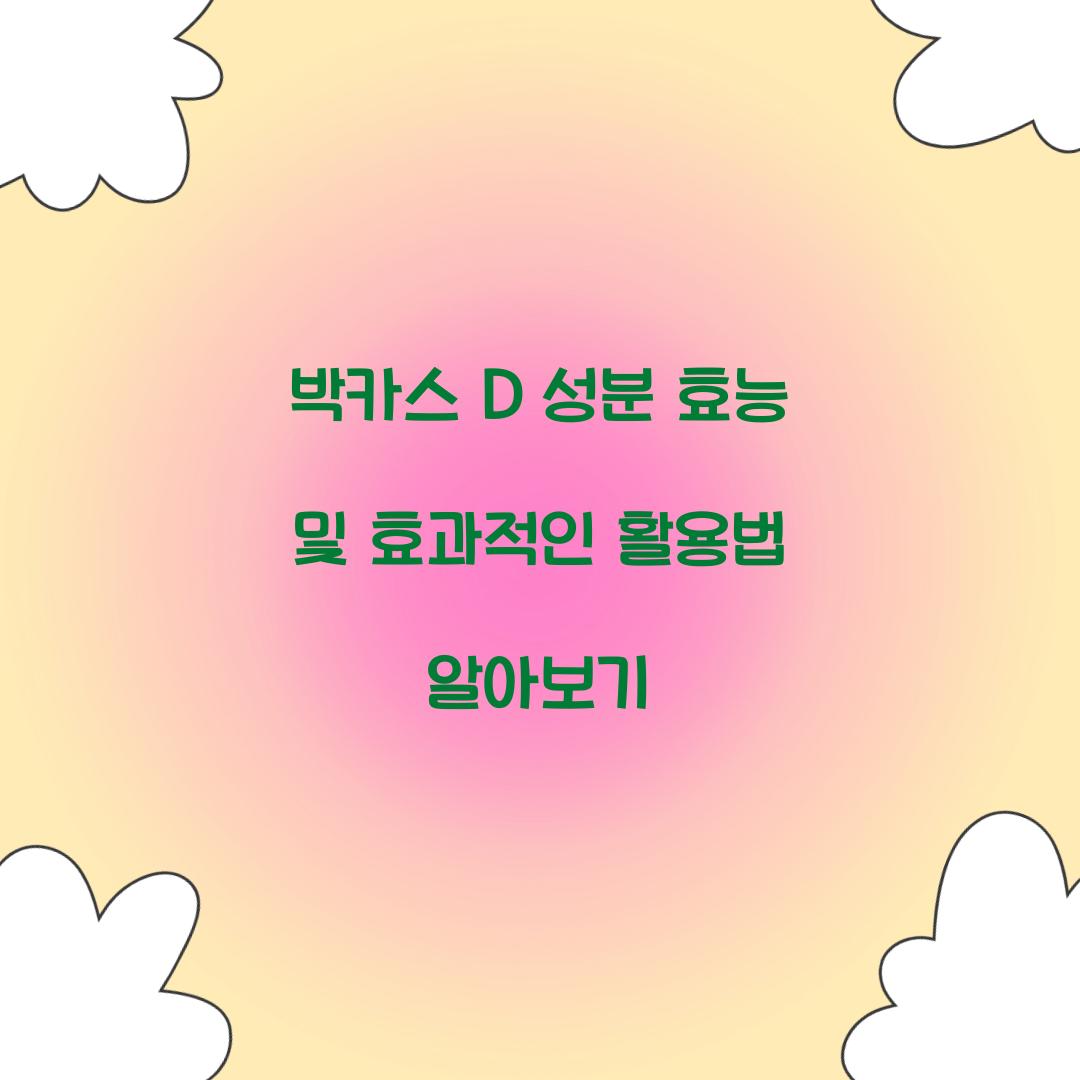 박카스 D 성분 효능