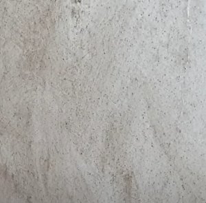 천연곰팡이제거제