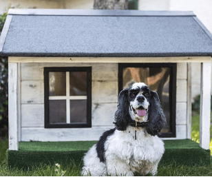 청년주택통장 청약통장