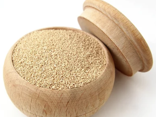 맥주효모 비오틴