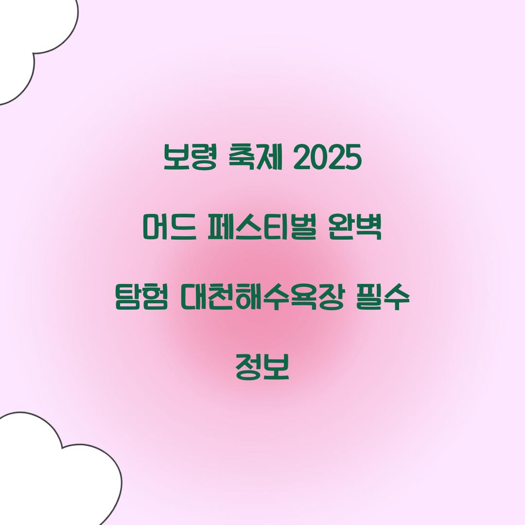 보령 축제 2025 머드 페스티벌
